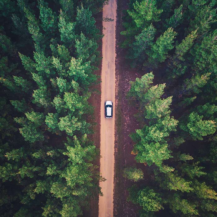 looking down on car in forest